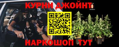 круглые Лесосибирск