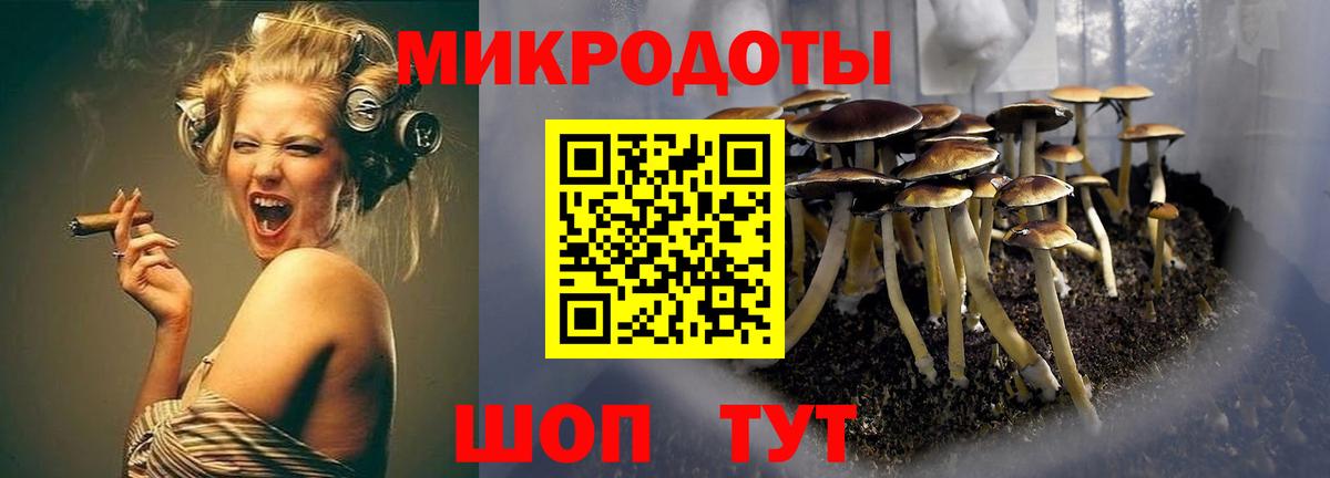 Псилоцибиновые грибы прущие грибы  купить   Гусев  Вход с VPN 
